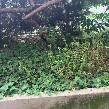 Pour Deux Face A La Tour Eiffel Parigi